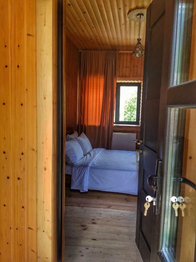 Гостевой дом Бана Казбеги Экстерьер фото